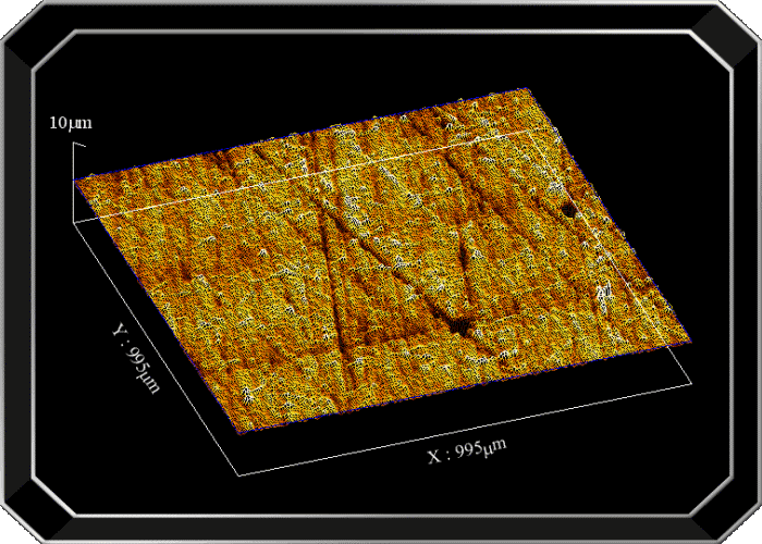 �t���[��